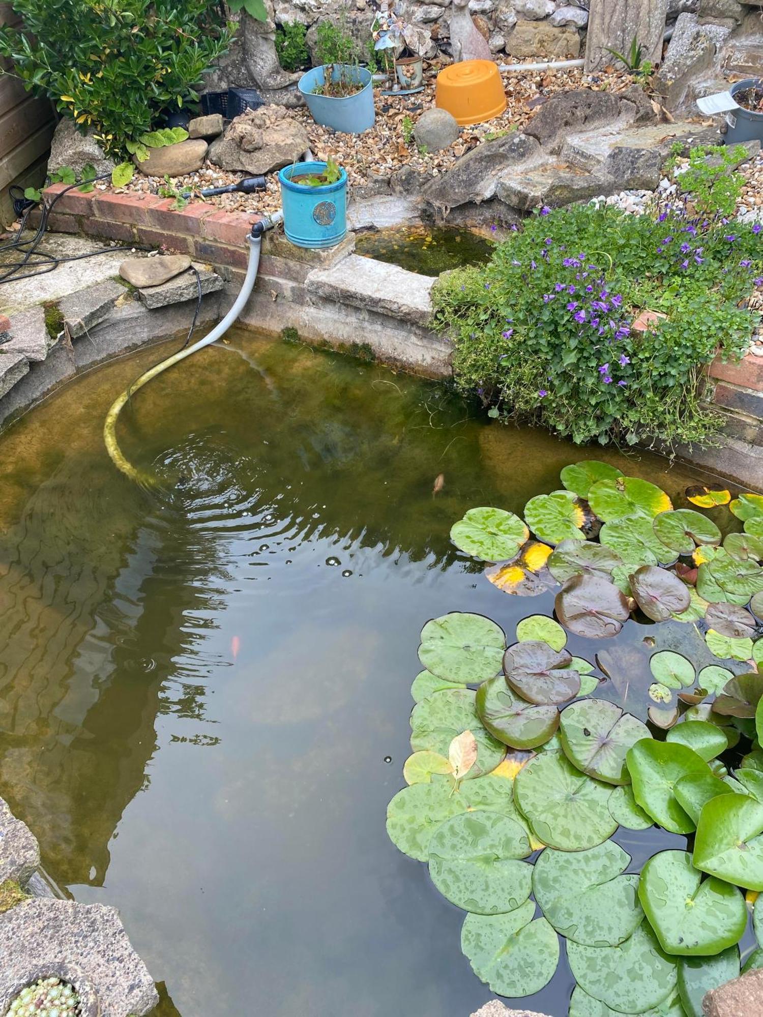 Pond Cottage Purley Εξωτερικό φωτογραφία