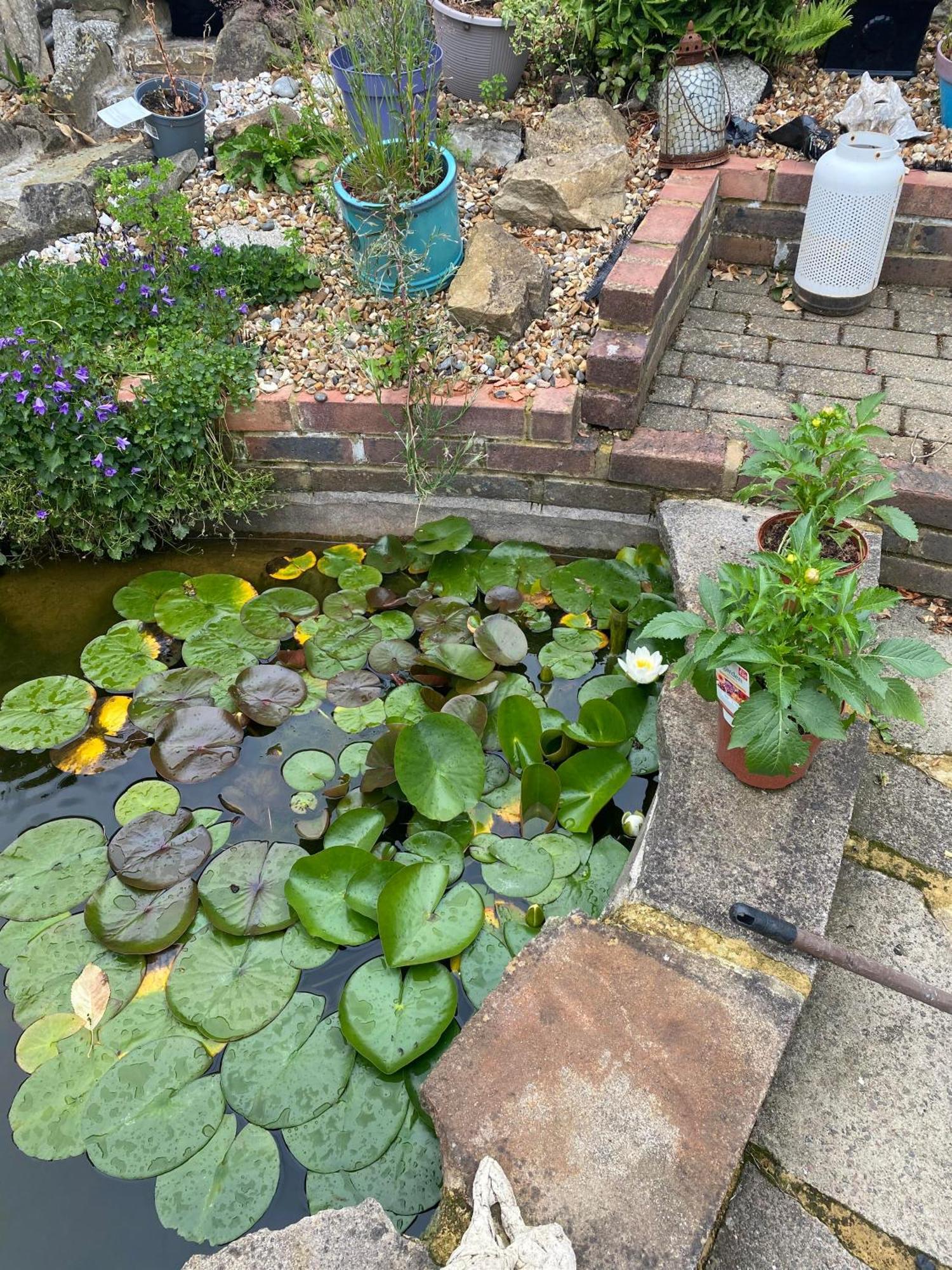 Pond Cottage Purley Εξωτερικό φωτογραφία